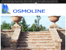 Tablet Screenshot of osmolinepavia.com